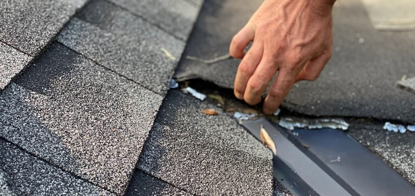 Protecting Your Home: The Importance Of Professional Roof Inspections In Calgary